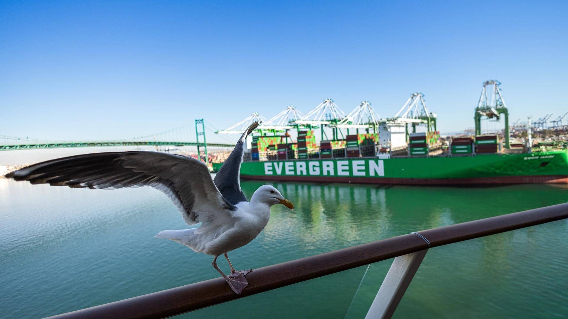 Port drayage shipping container terminal transport service