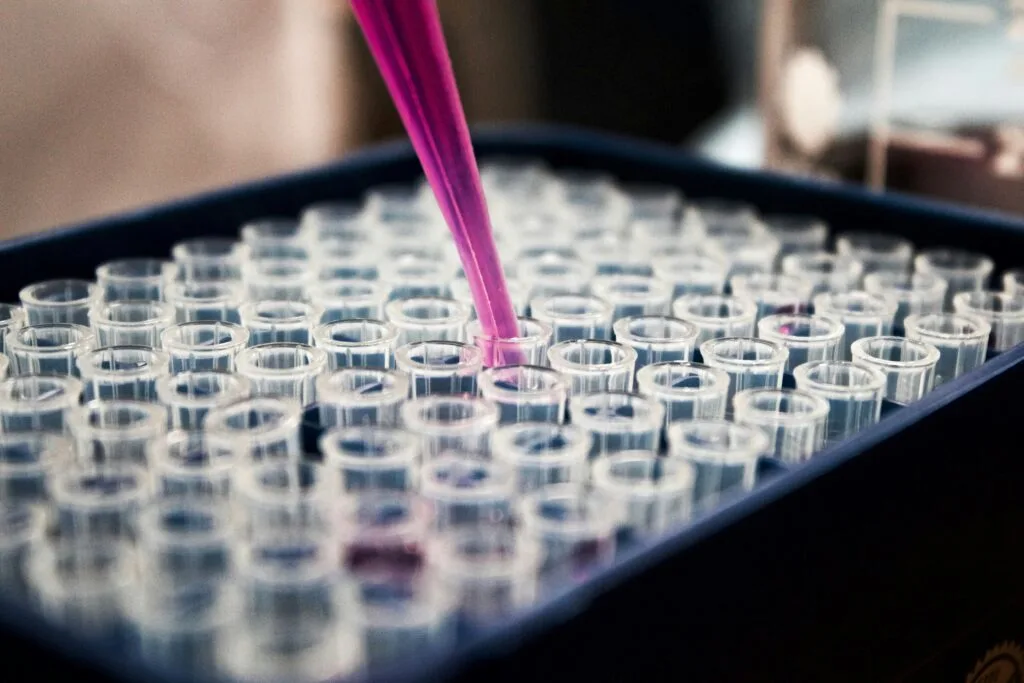 Pipette dispensing purple chemical liquid into laboratory sample vials