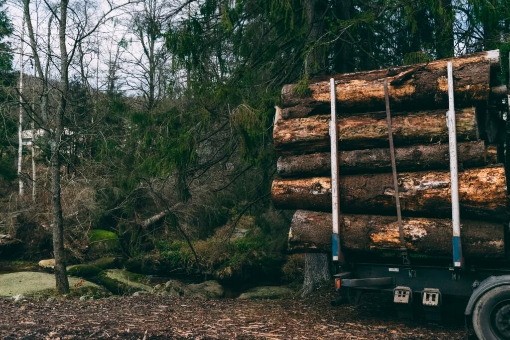 Heavy-duty logging trailer stacked with freshly cut pine tree logs in a forest