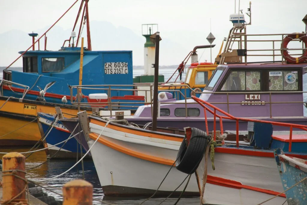 Colorful traditional fishing boats moored together at a harbor dock with seagulls and lighthouse in background