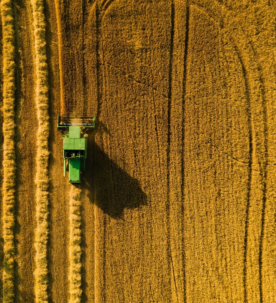 Top-down aerial view of a green combine harvester cutting golden wheat crop in a vast field