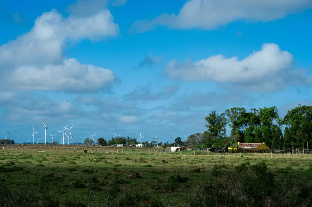 Wind turbine farm generating clean renewable energy on green countryside plains under blue sky